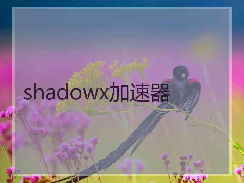 shadowx加速器