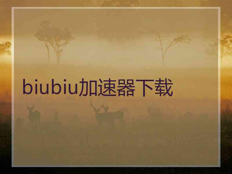 biubiu加速器下载