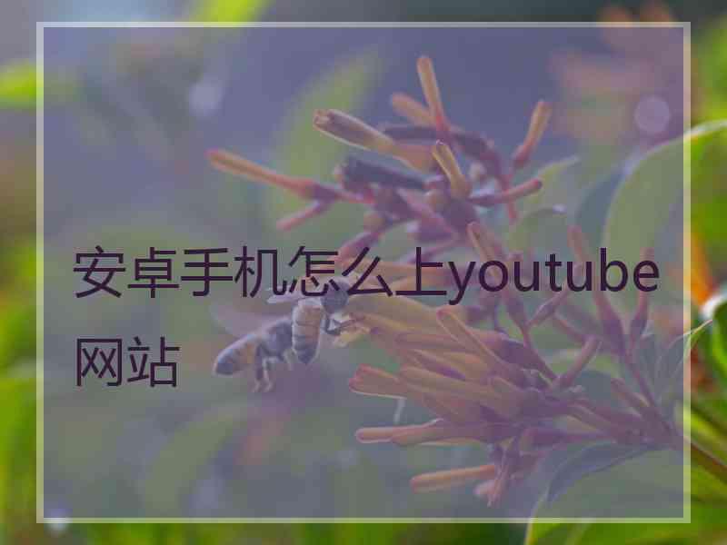 安卓手机怎么上youtube网站